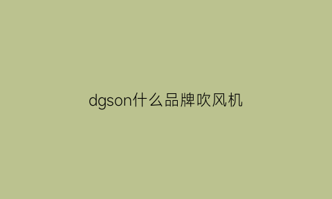 dgson什么品牌吹风机(吹风机品牌推荐知乎)