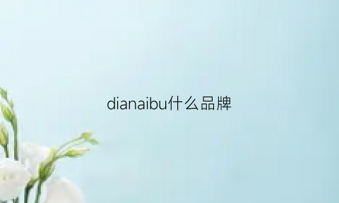 dianaibu什么品牌