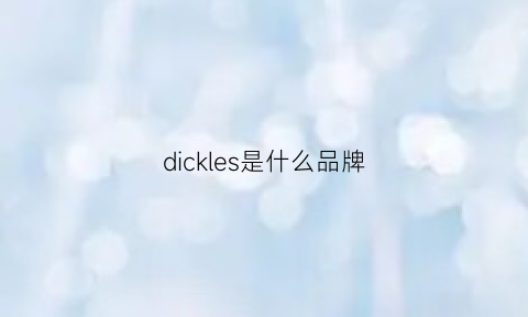 dickles是什么品牌(dikcies是什么牌子)