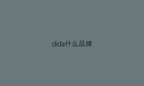 dida什么品牌(didr是什么牌子)