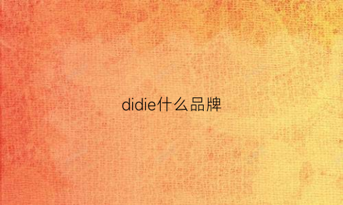 didie什么品牌(didie是什么牌子)