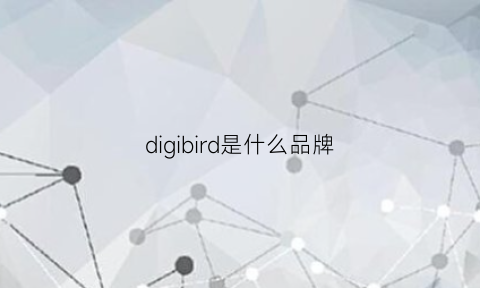 digibird是什么品牌(dige是什么品牌)