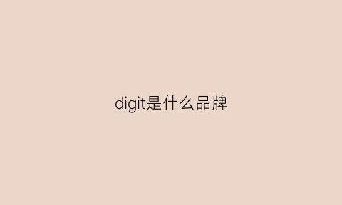 digit是什么品牌