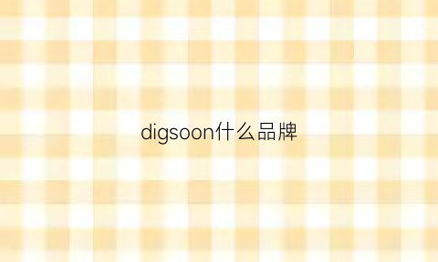 digsoon什么品牌