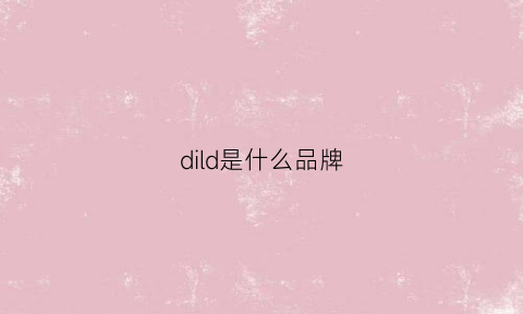 dild是什么品牌(dir是什么品牌)