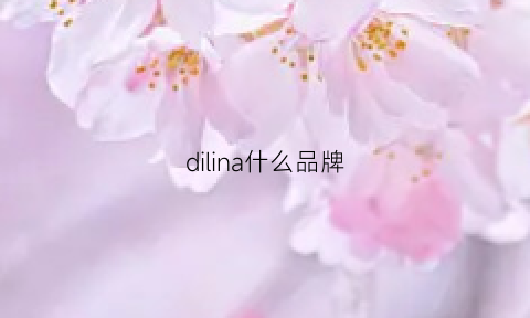 dilina什么品牌(dili是什么牌子)