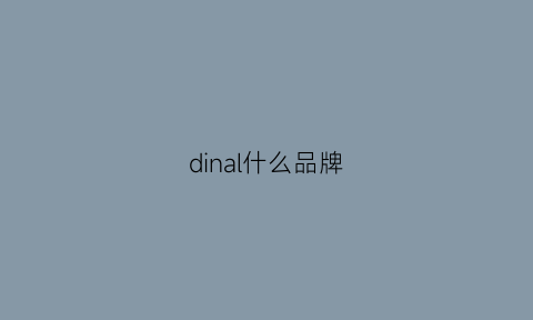 dinal什么品牌(ding是什么品牌)