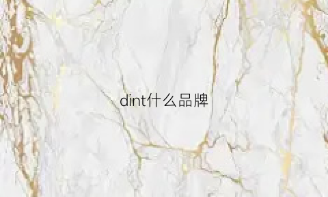 dint什么品牌