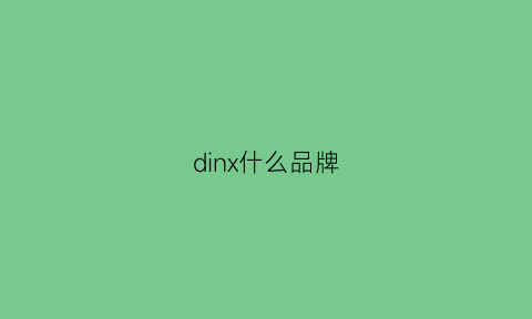 dinx什么品牌