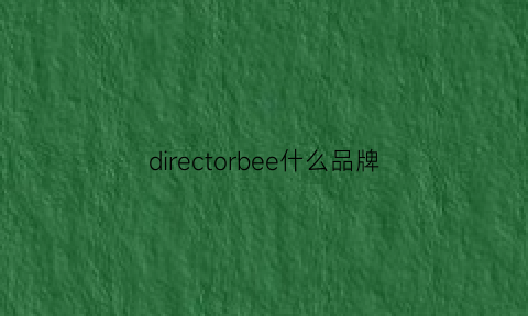 directorbee什么品牌(dcore什么牌子)