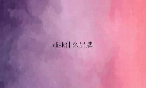 disk什么品牌(disks是什么意思)