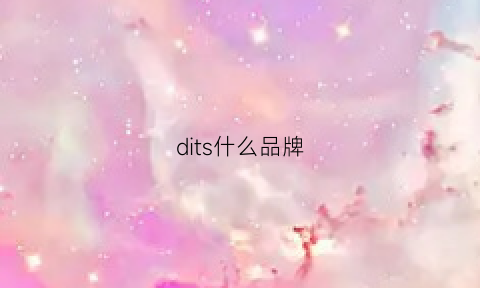 dits什么品牌