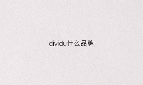 dividu什么品牌(divided牌子什么价位)