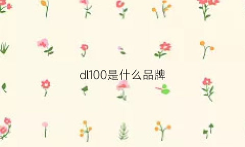 dl100是什么品牌(dl牌子)