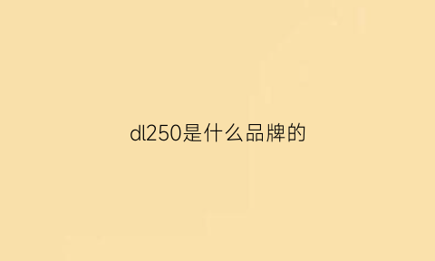 dl250是什么品牌的(dl250是哪里生产的)