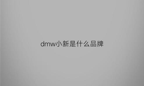 dmw小新是什么品牌(小新handle怎么样)