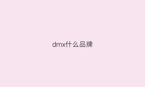 dmx什么品牌