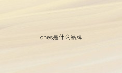 dnes是什么品牌(dn是什么牌子)