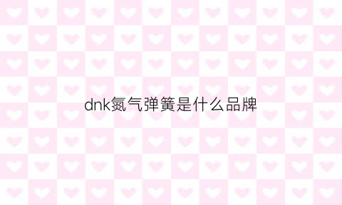 dnk氮气弹簧是什么品牌(氮气弹簧tl3000)