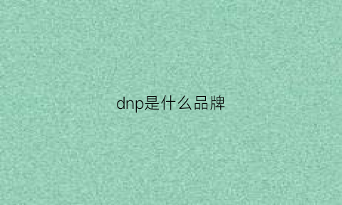 dnp是什么品牌(dnp是什么意思中文)