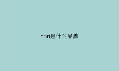 dnri是什么品牌(dnj是什么牌子)