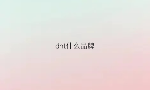 dnt什么品牌(dt什么牌子)