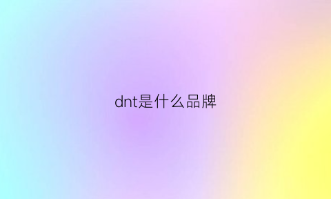 dnt是什么品牌