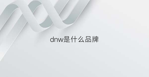 dnw是什么品牌(dnwr是什么服装品牌)