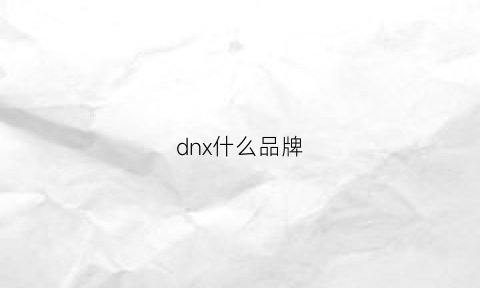 dnx什么品牌(dnz是什么品牌)