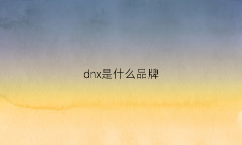 dnx是什么品牌(dn是什么牌子)