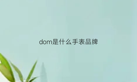 dom是什么手表品牌(dom手表寓意)