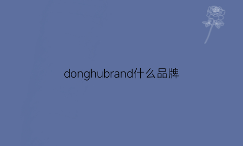 donghubrand什么品牌(donsje是什么牌子)