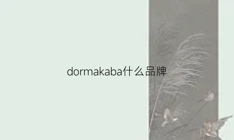 dormakaba什么品牌(促进消化的操)