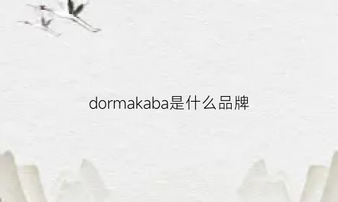 dormakaba是什么品牌(dolcegabbana是什么品牌)