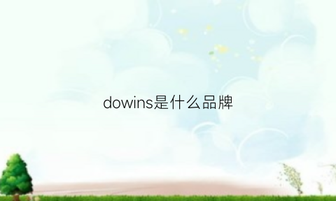 dowins是什么品牌(doos是什么牌子)