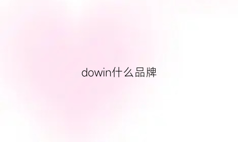 dowin什么品牌(dowin是什么牌子)