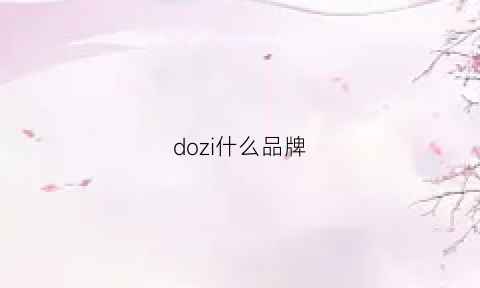 dozi什么品牌(do品牌)