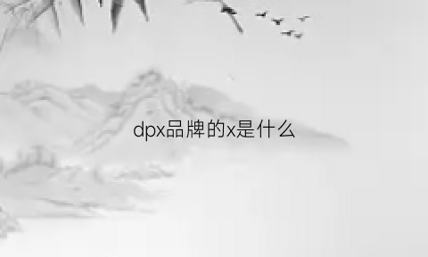 dpx品牌的x是什么(dp品牌全称)