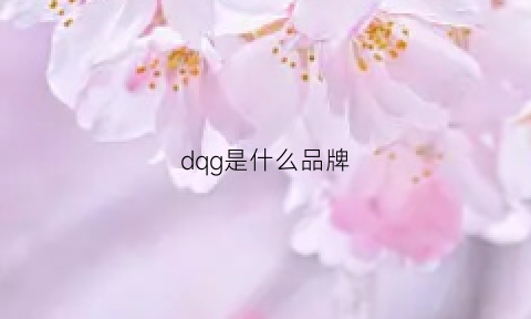 dqg是什么品牌