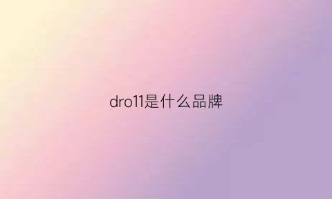 dro11是什么品牌(d1or是啥品牌)