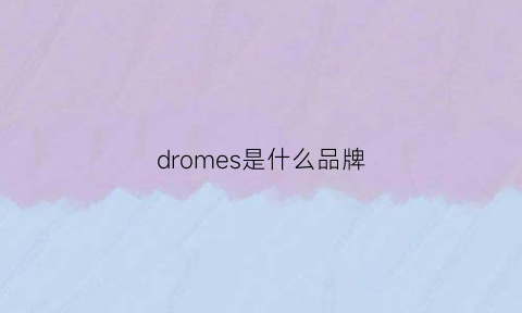 dromes是什么品牌(droledemonsieur是什么牌子)