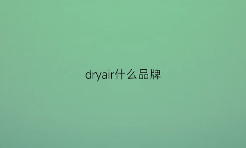 dryair什么品牌(drzr是什么品牌)