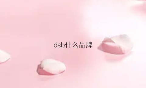 dsb什么品牌(ds是哪个品牌下的高端品牌)