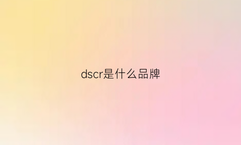 dscr是什么品牌(dsdurga是什么牌子)