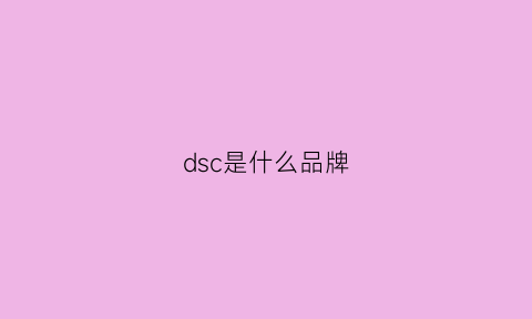 dsc是什么品牌(dsc是什么意思)