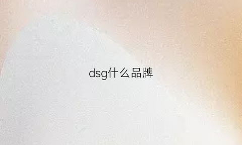 dsg什么品牌(dsg是)