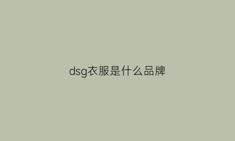 dsg衣服是什么品牌