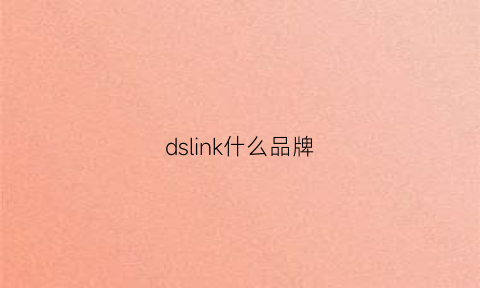 dslink什么品牌