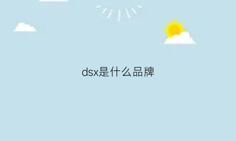 dsx是什么品牌