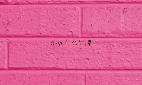 dsyc什么品牌(dsy是什么品牌)